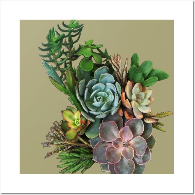 My Succulent garden Wall Art by Just Kidding by Nadine May